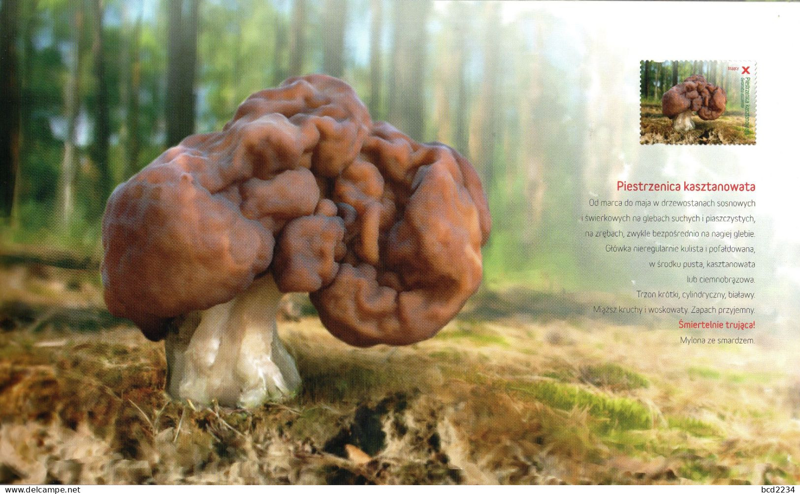 POLAND 2012 POLISH POST OFFICE LIMITED EDITION SPECTACULAR FOLDER: MUSHROOMS IN POLISH FORESTS FDC FUNGI