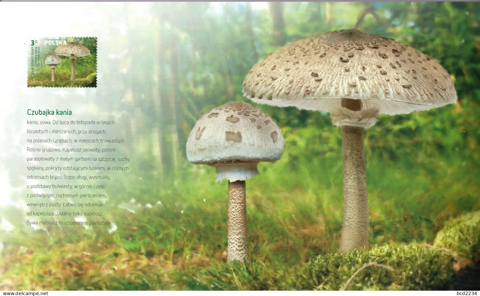 POLAND 2012 POLISH POST OFFICE LIMITED EDITION SPECTACULAR FOLDER: MUSHROOMS IN POLISH FORESTS FDC FUNGI