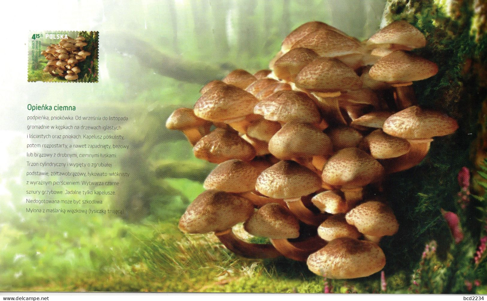 POLAND 2012 POLISH POST OFFICE LIMITED EDITION SPECTACULAR FOLDER: MUSHROOMS IN POLISH FORESTS FDC FUNGI