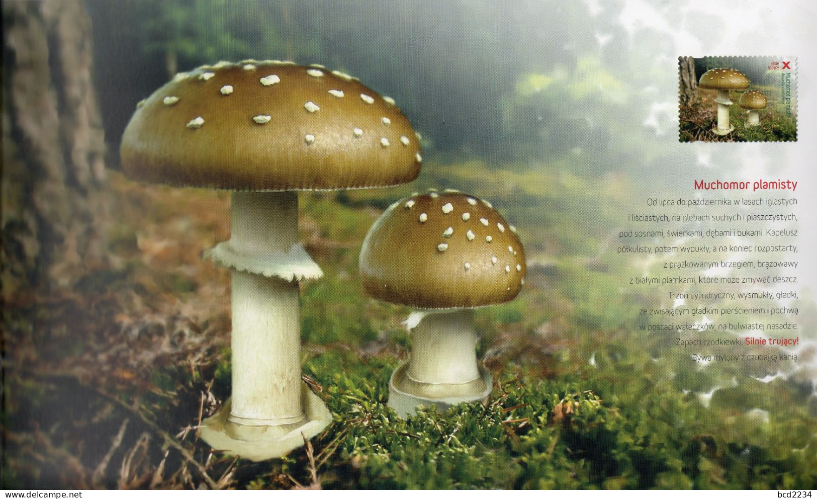 POLAND 2012 POLISH POST OFFICE LIMITED EDITION SPECTACULAR FOLDER: MUSHROOMS IN POLISH FORESTS FDC FUNGI