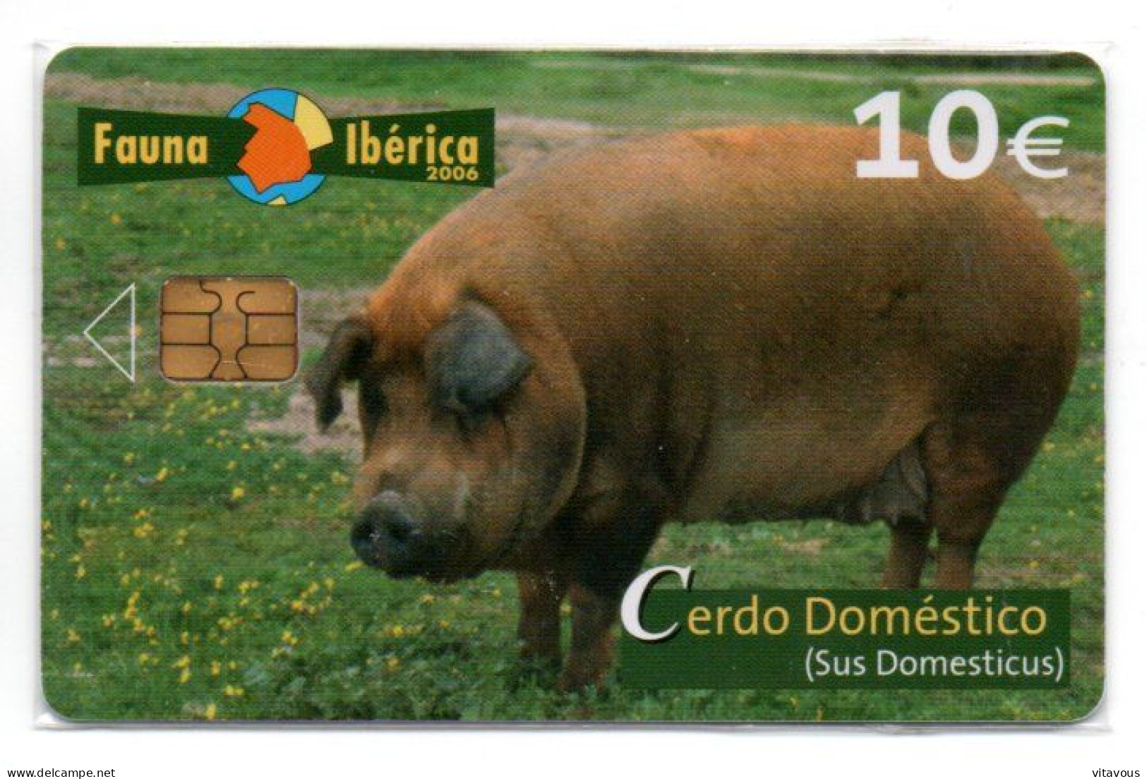 Cerdo Domèstico - Sus Domesticus Télécarte Fauna Ibérica Phonecard  Telefonkarten  (K 10) - Basisausgaben