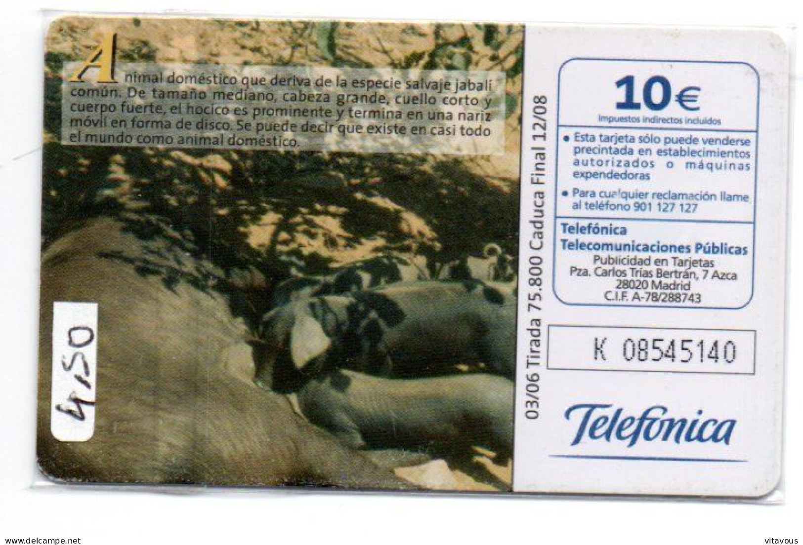 Cerdo Domèstico - Sus Domesticus Télécarte Fauna Ibérica Phonecard  Telefonkarten  (K 10) - Emisiones Básicas