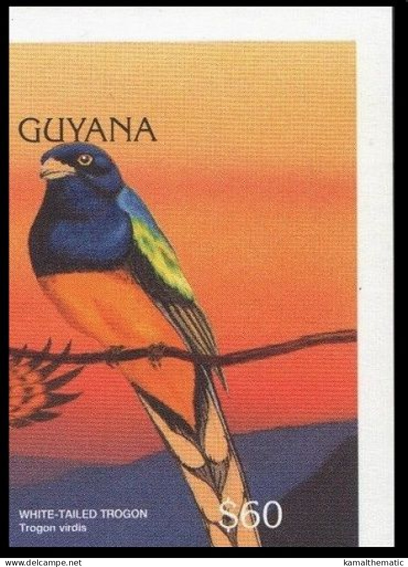 Green-backed Trogon, Birds, Guyana 1996 Imperf MNH - Koekoeken En Toerako's