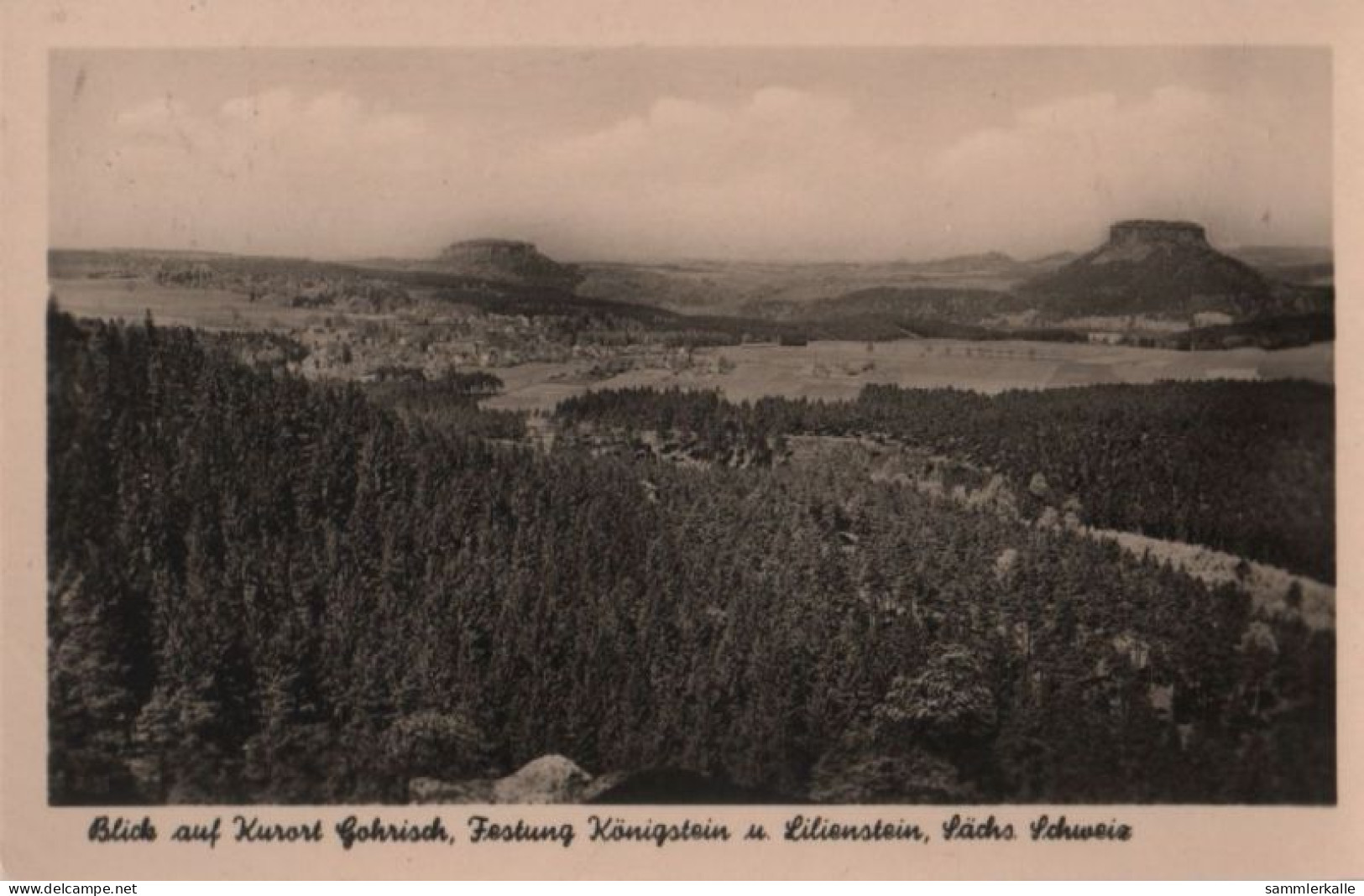 84798 - Gohrisch - Festung Königstein - 1959 - Gohrisch