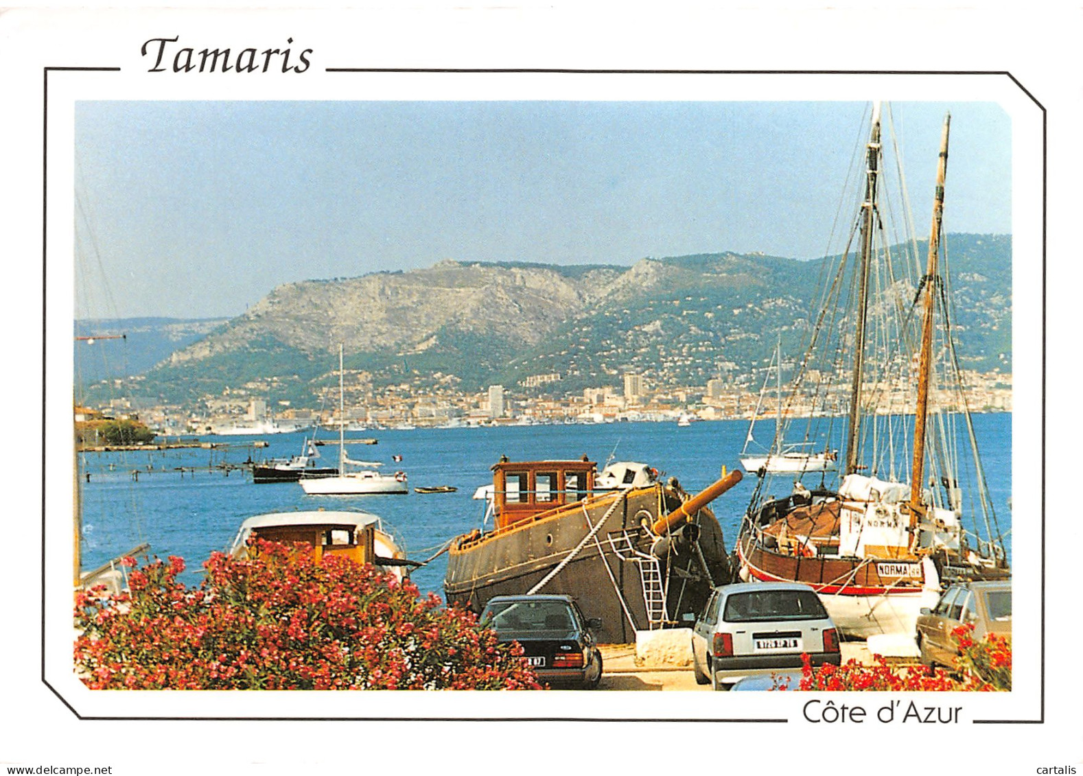 83-TAMARIS-N°3912-D/0341 - Tamaris