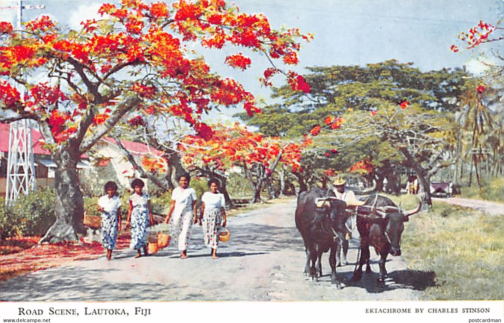 Fiji - LAUTOKA - Road Scene - Publ. Charles Stinson 27 - Fiji