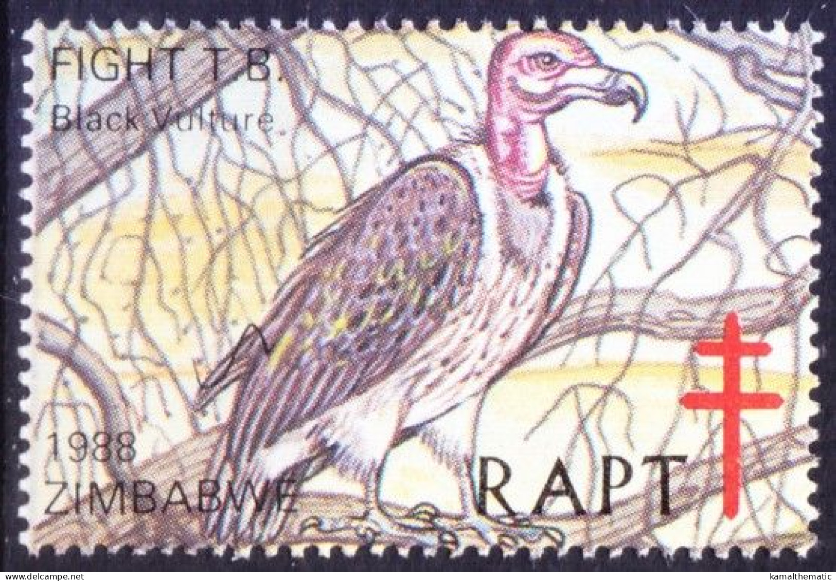 Zimbabwe 1978 MNH, Black Vulture Birds Of Prey, Help Fight TB, Seals - Adler & Greifvögel