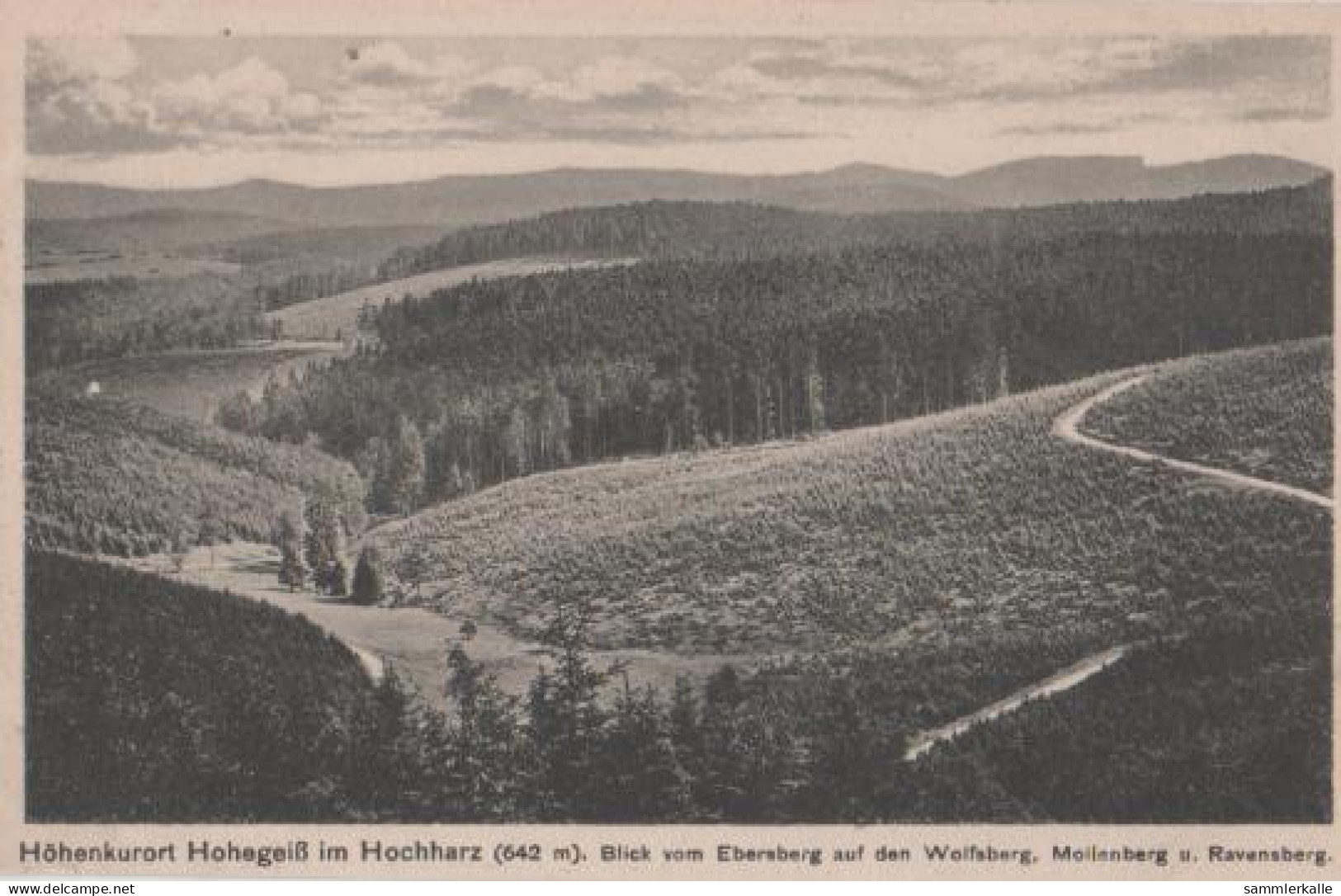 18744 - Schierke - Hohegeiss - Blick Vom Ebersberg - Ca. 1955 - Schierke