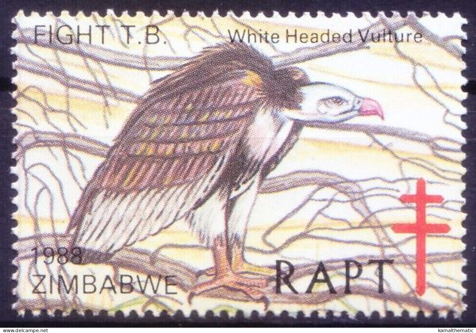 Zimbabwe 1978 MNH, White Headed Vulture Birds Of Prey, Help Fight TB, Seals - Águilas & Aves De Presa