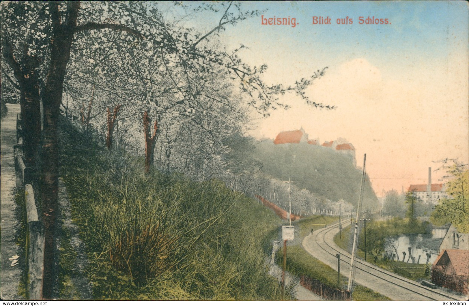 Leisnig Blick Aufs Schloß - Bahnstrecke 1917 - Leisnig