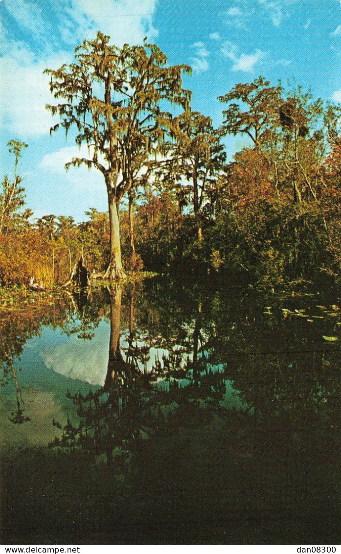 STEPHEN FOSTER STATE PARK OKEFENOKEE SWAMP ROUTE 1 FARGO GEORGIA - Andere & Zonder Classificatie