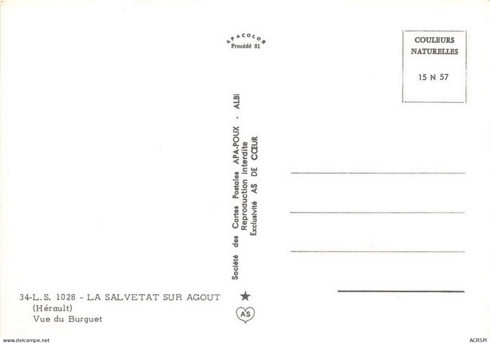 LA SALVETAT SUR AGOUT Vue Du Burguet (SCAN RECTO VERSO)MA0038 - La Salvetat