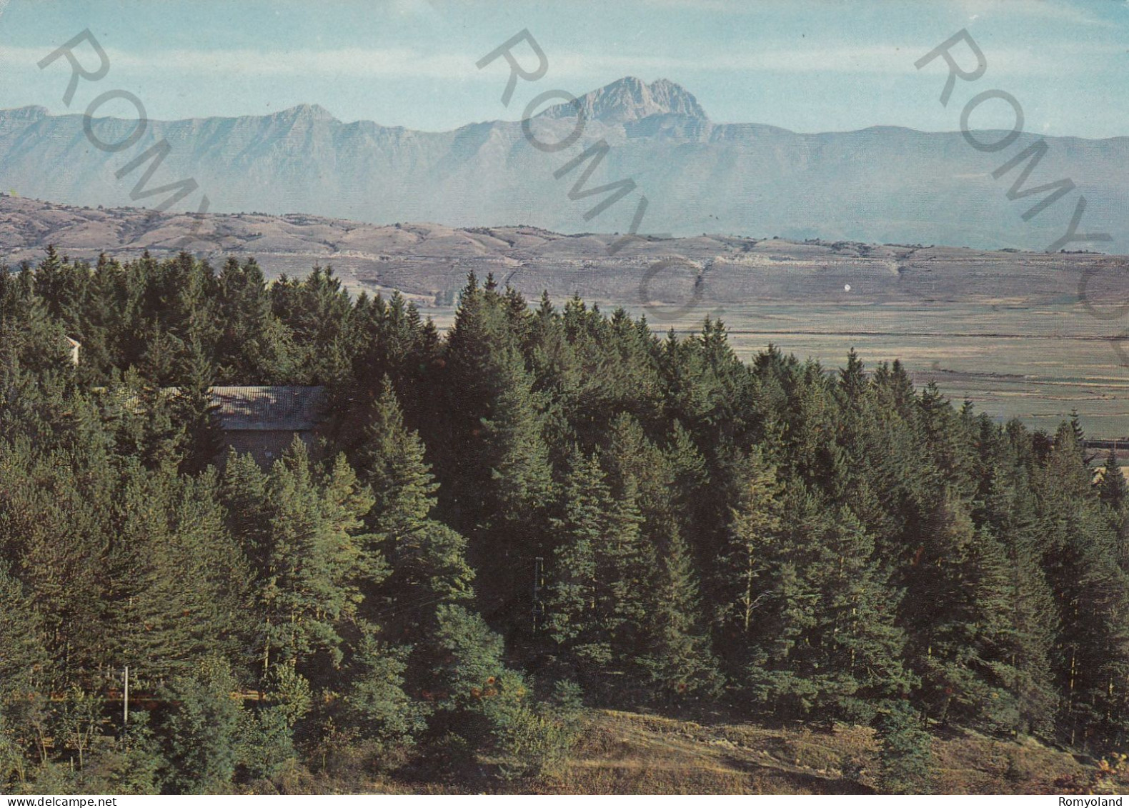 CARTOLINA  C3 GRAN SASSO D'ITALIA M.2914,TERAMO,ABRUZZO-PINETA DI S.LEUCIO-STORIA,MEMORIA,BELLA ITALIA,VIAGGIATA 1974 - Teramo