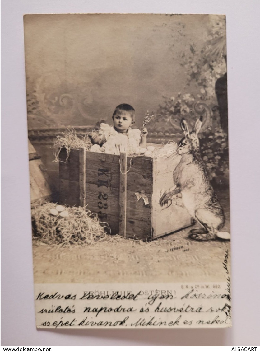 Pâques ,  Carte Photo , Lapin Et Enfant Dans Une Caisse - Pâques