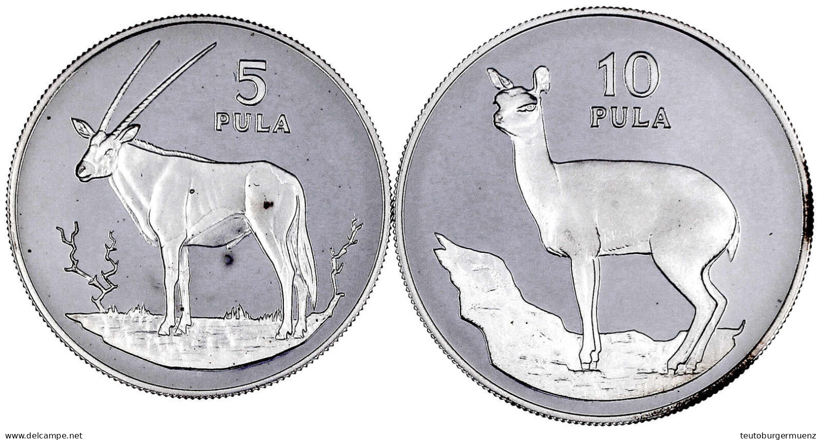 2 Silbermünzen: 5 Und 10 Pula 1978. Südafrikanischer Spießbock Und Klippspringer. Polierte Platte. Schön 12,13. Yeoman 1 - Botswana