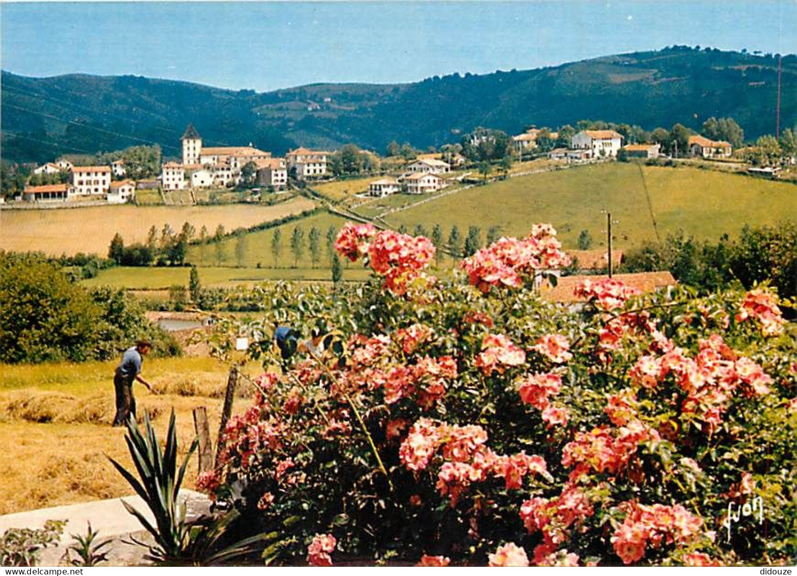 64 - Sare - Vue Générale Du Joli Village Basque Que Pierre Loti A Décrit Dans Ramuntcho - Fleurs - CPM - Voir Scans Rect - Sare