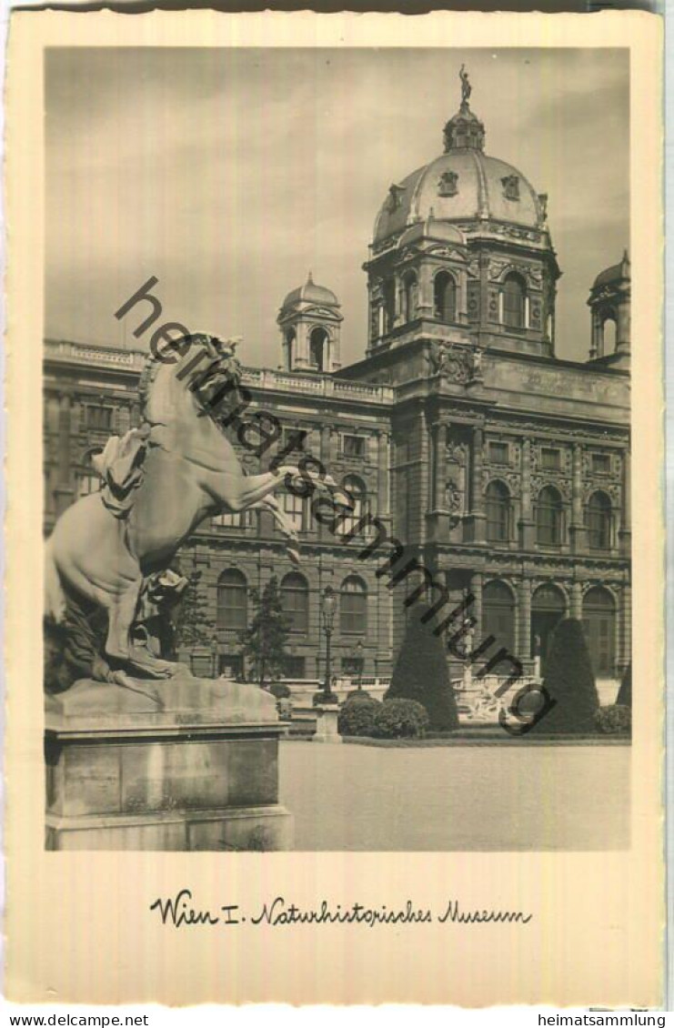 Wien - Naturhistorisches Museum - Foto-Ansichtskarte - Verlag Grapha Wien - Musea