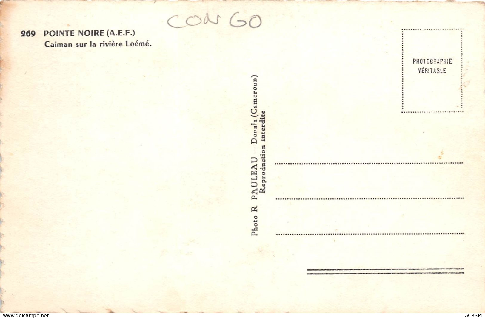 CONGO Francais POINTE NOIRE Caiman Sur La Riviere Loeme 39(scan Recto-verso) MA197 - Pointe-Noire