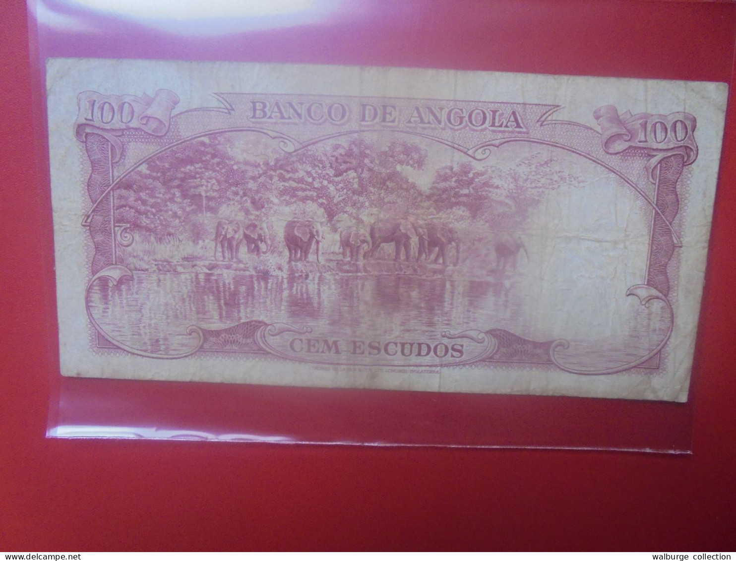 ANGOLA 100 ESCUDOS 1962 Circuler (B.33) - Angola