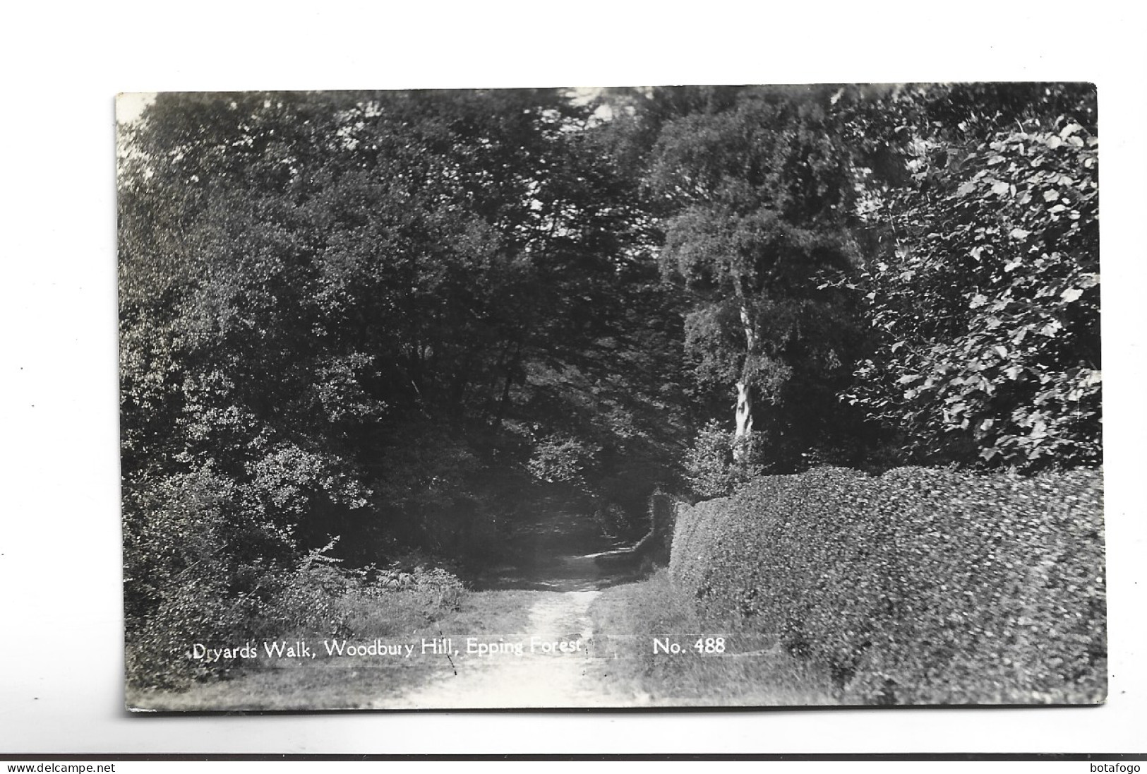 CPA PHOTO DRYARDS WALK,WOODBURY HILL, EPPING FOREST - Other & Unclassified