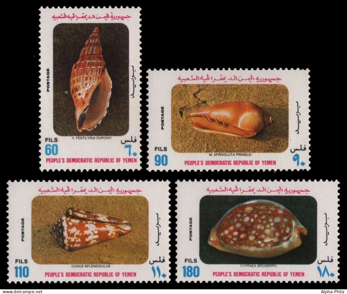 Südjemen 1977 - Mi-Nr. 200-203 ** - MNH - Meeresschnecken / Marine Snails - Yemen