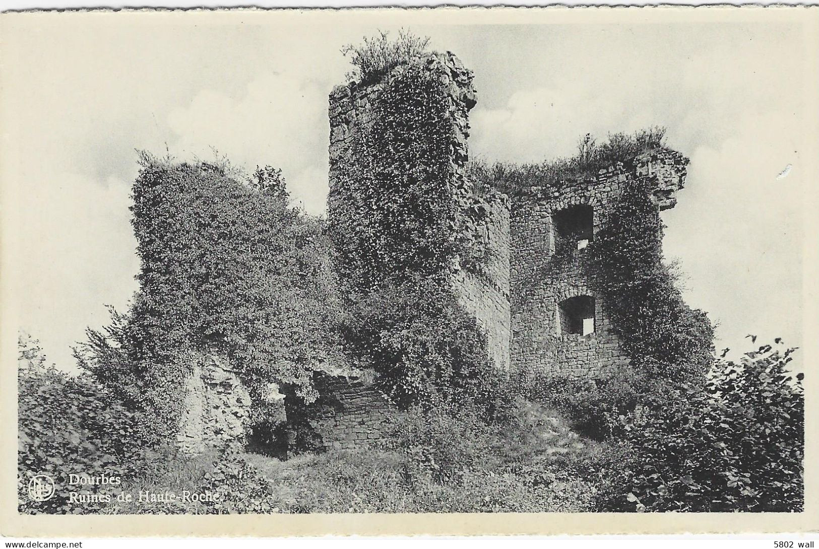 VIROINVAL-DOURBES : Ruines De Haute-Roche - Viroinval