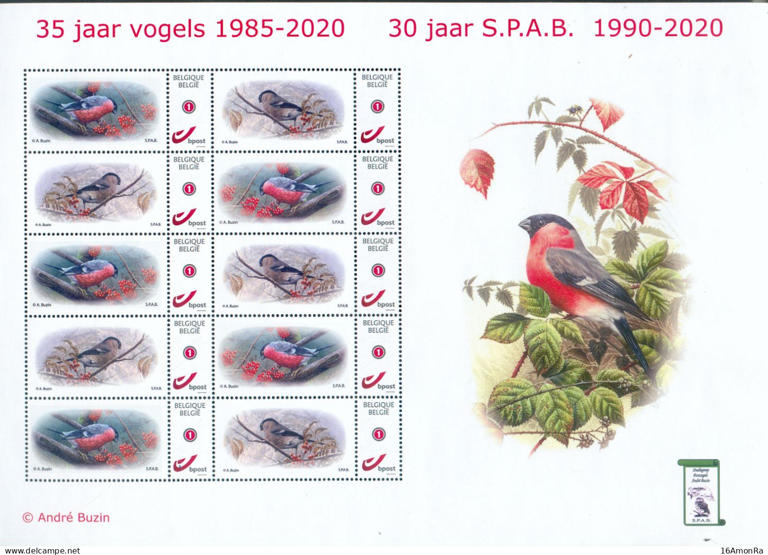 35 Ans S.P.A.B. 1990-2020 OISEAUX BUZIN DUO STAMP En Feuille Avec 2 Modèles Différents.  RR - 22042 - 1985-.. Vögel (Buzin)