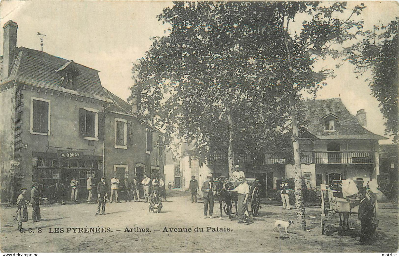 ARTHEZ - Avenue Du Palais. - Arthez De Bearn