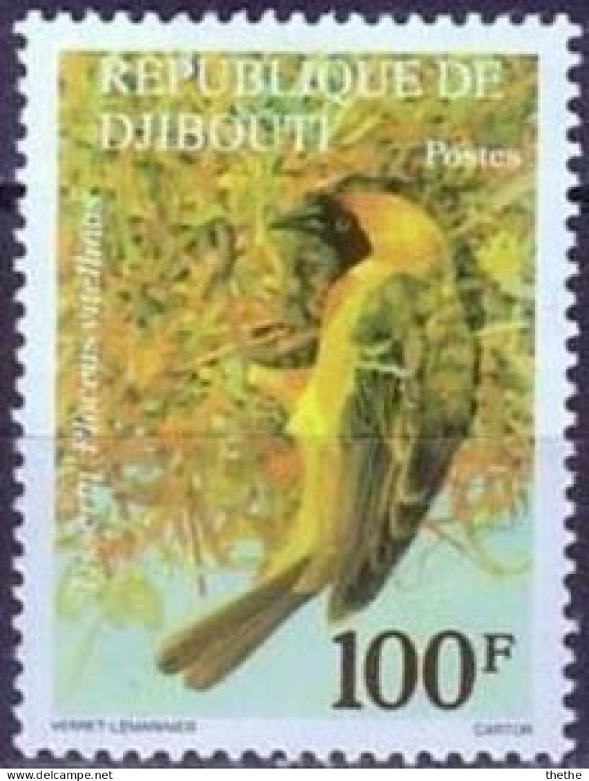 DJIBOUTI - Ploceus Vitellinus (Ploceus Vitellinus) - Songbirds & Tree Dwellers
