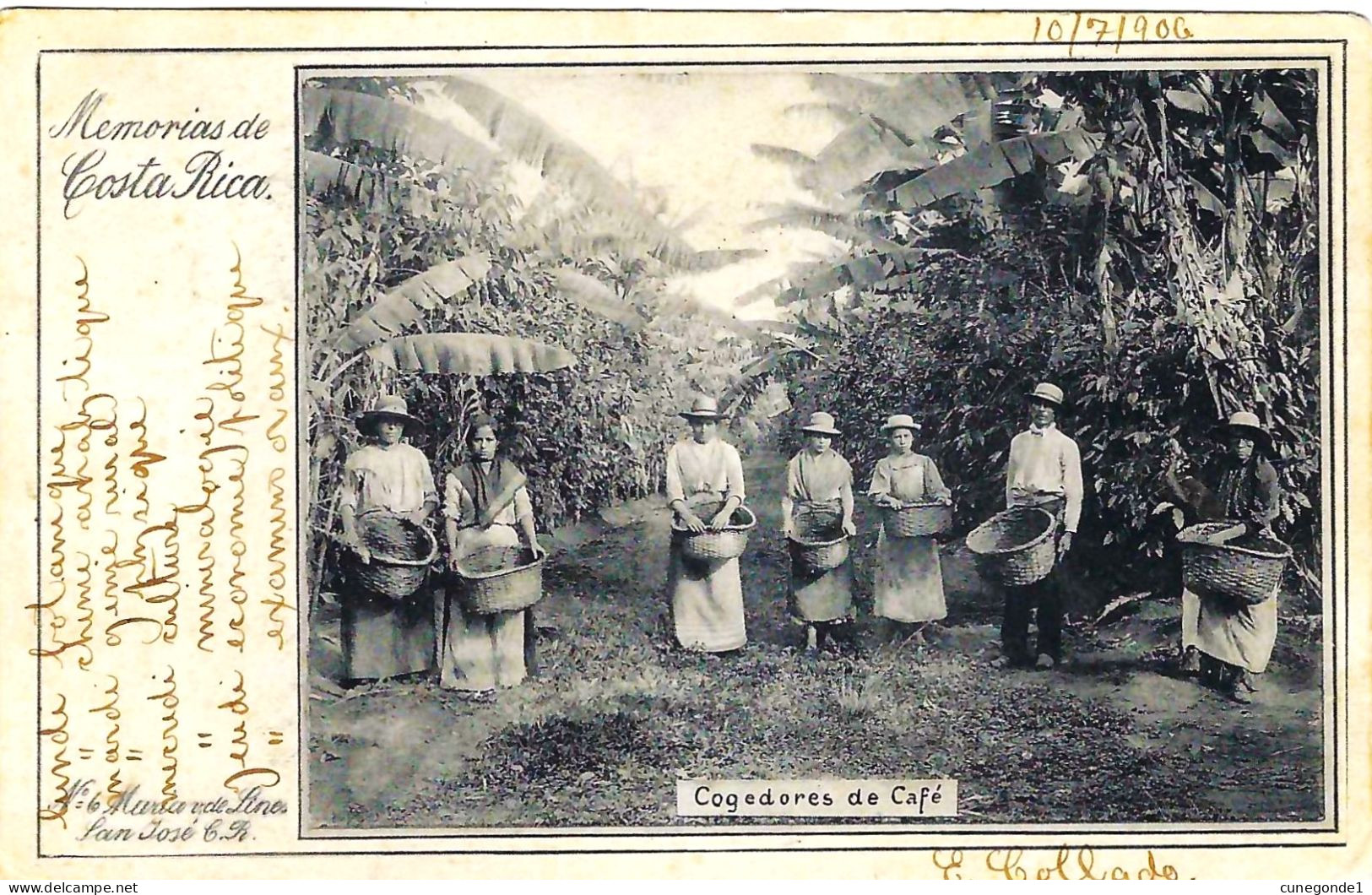 CPA Memorias De COSTA RICA : Cogedores De Café - Belle Animation - Circulée En 1906 - 2 Scans - Costa Rica