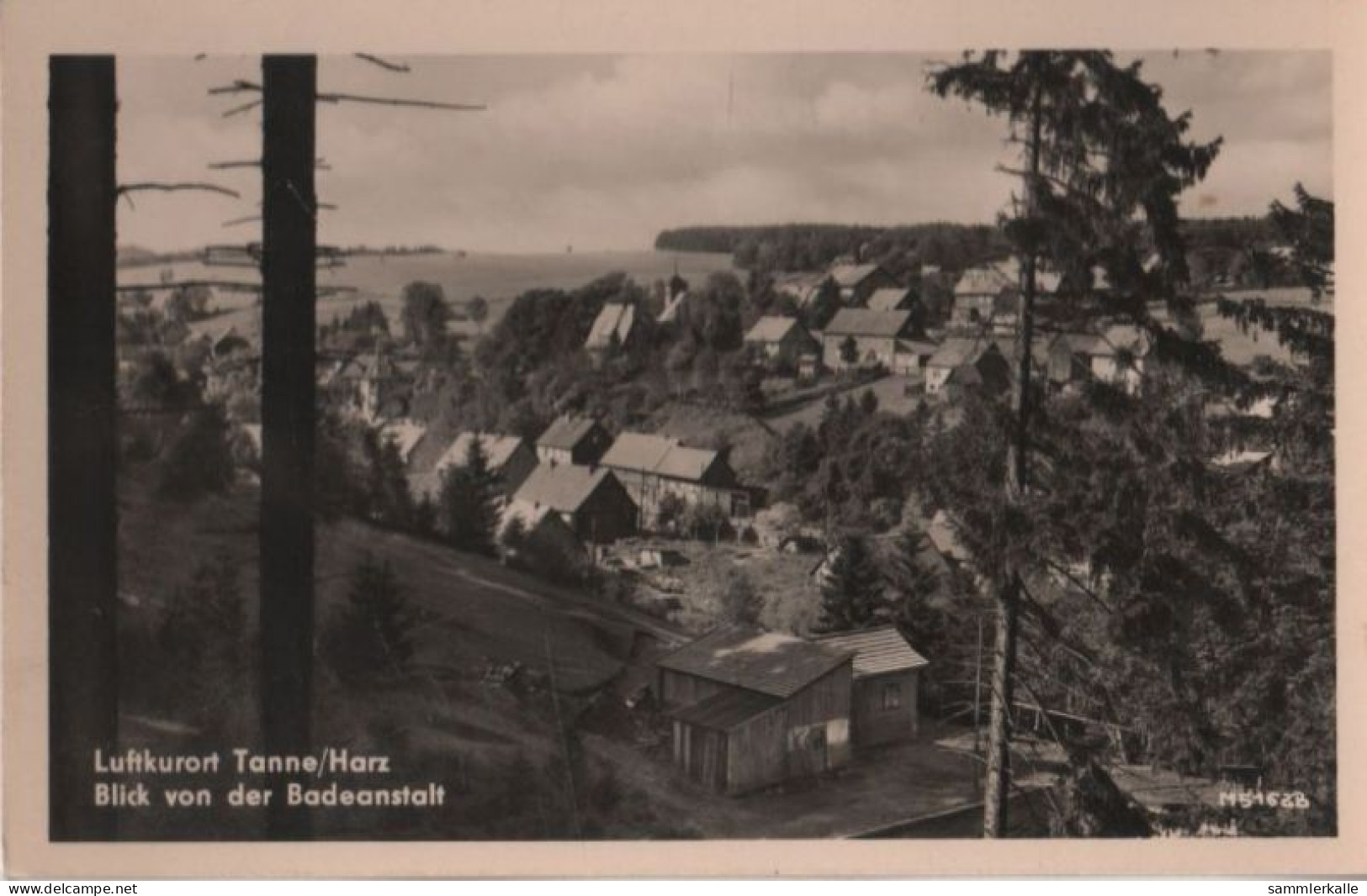 54989 - Tanne - Blick Von Der Badeanstalt - Ca. 1955 - Halberstadt