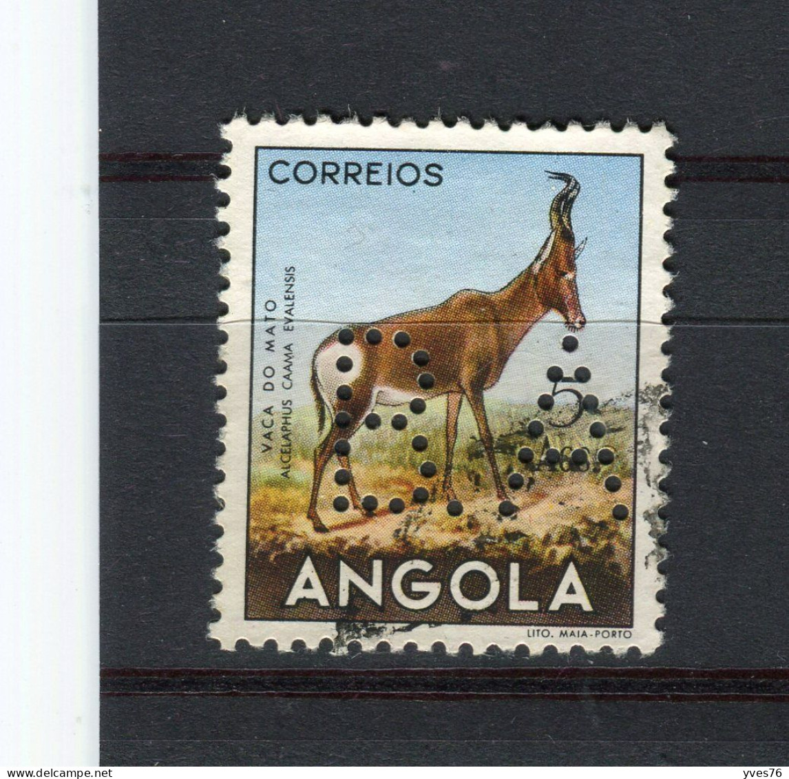 ANGOLA - Y&T N° 371° - Perfin - Perforé - Antilope Bubale - Angola