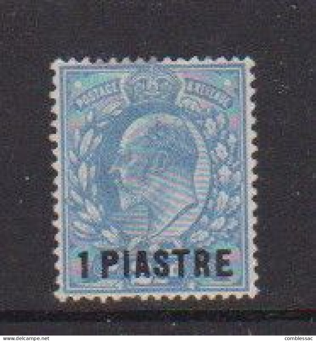 BRITISH  LEVANT    1902    1 Pi  On  2 1/2d  Blue    MH - Levante Británica