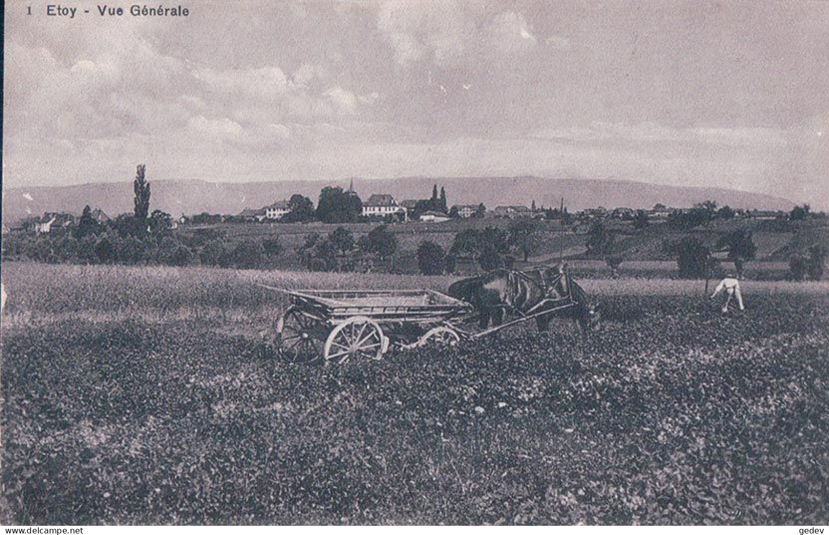 Etoy VD, Attelage De 2 Chevaux Au Char à échelle Pour Le Transport Du Fourrage (9.5.1912) - Étoy