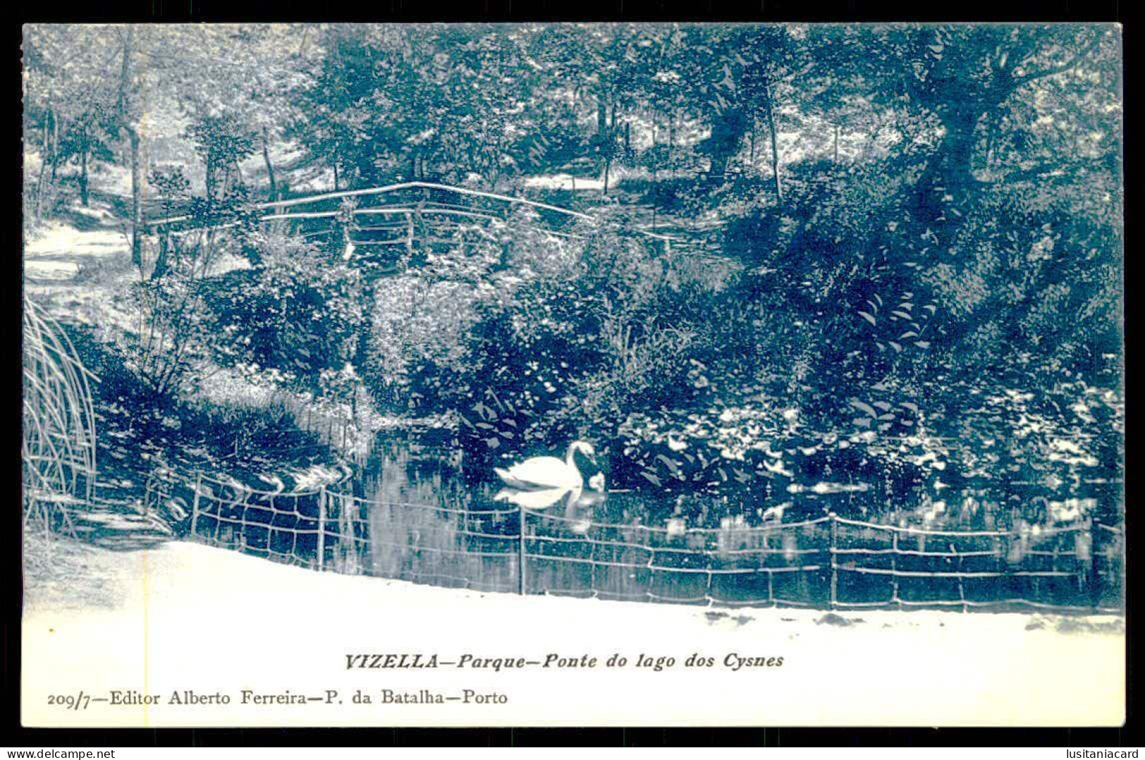 VIZELA -Vizella - Parque - Ponte Do Lago Dos Cysnes.  ( Editor Alberto Ferreira Nº 209/7)  Carte Postale - Braga