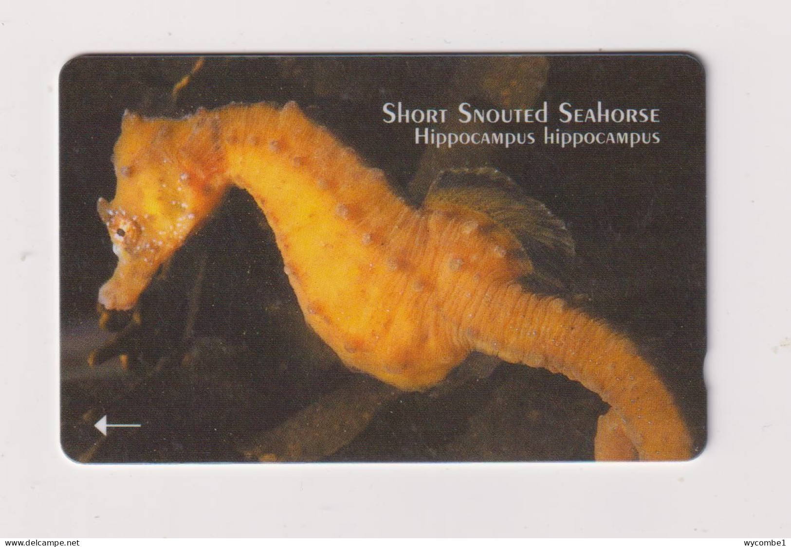JERSEY -  Short Snouted Seahorse GPT Magnetic  Phonecard - Jersey Et Guernesey