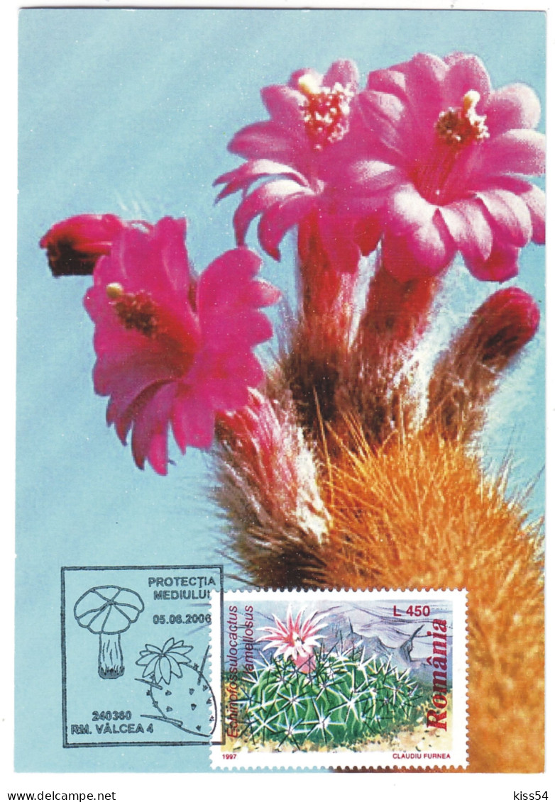 MAX 30 - 135 CACTUSSES, Romania - Maximum Card - 2006 - Cactussen