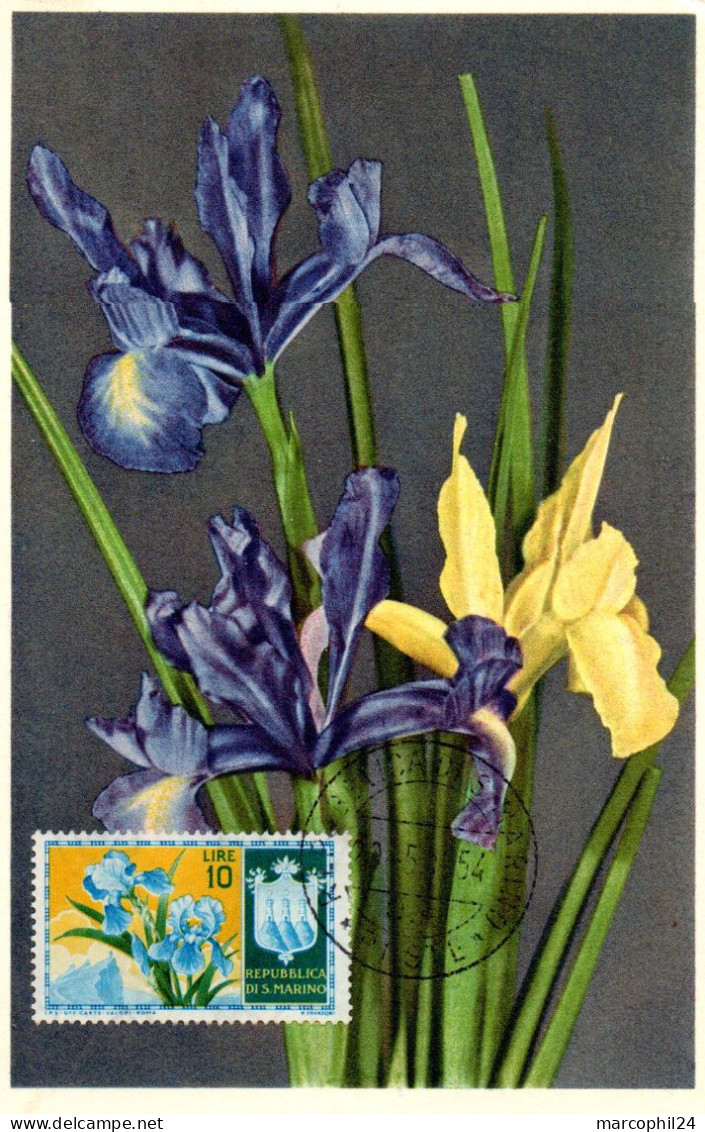 FLEUR + IRIS = SAINT-MARIN 1953 = CARTE MAXIMUM + N° Yvert  379 - Andere & Zonder Classificatie