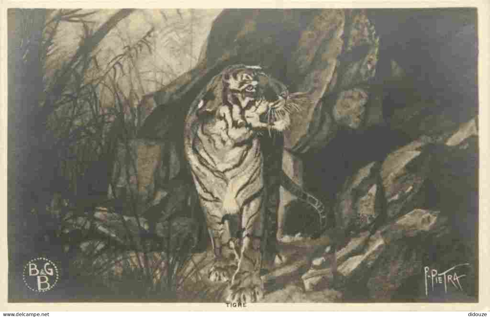 Animaux - Fauves - Tigre - Tiger - Art Peinture - P Pietra - CPA - Carte Neuve - Voir Scans Recto-Verso - Tiger