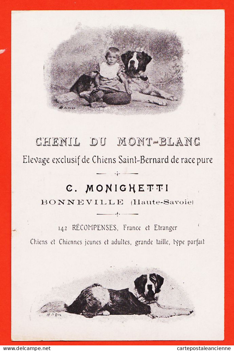 20887 / ♥️ ⭐ ◉ Rare 74-BONNEVILLE LEONNARD MONIGHETTI Chenil MONT-BLANC Elevage SAINT-BERNARD BERGER ALLEMAND - Bonneville