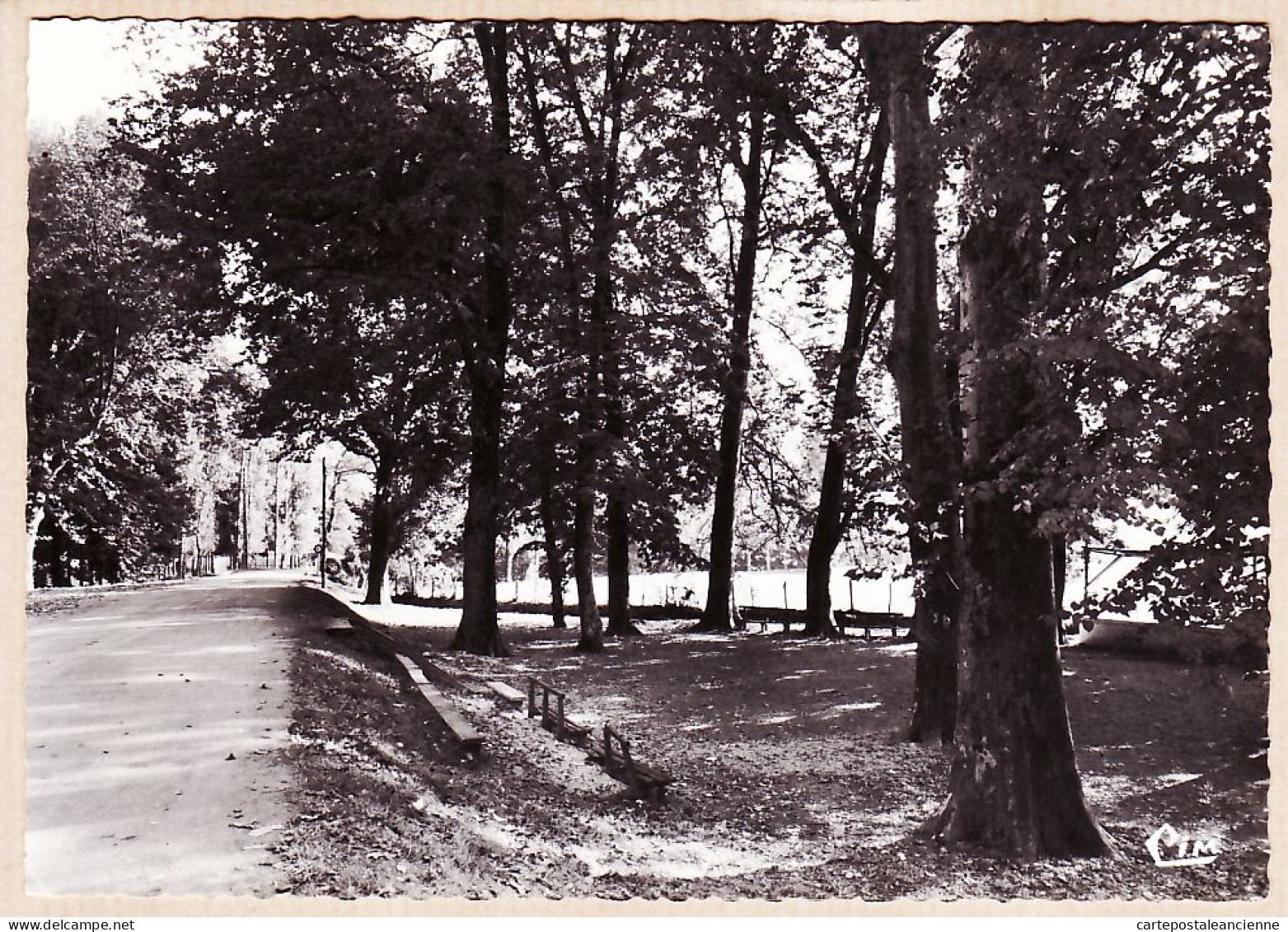 20787 / ⭐ ◉ Peu Commun 64-LASSEUBE En Béarn La Promenade 1950s - CIM COMBIER N°502 Basses Pyrenées Atlantiques - Lasseube