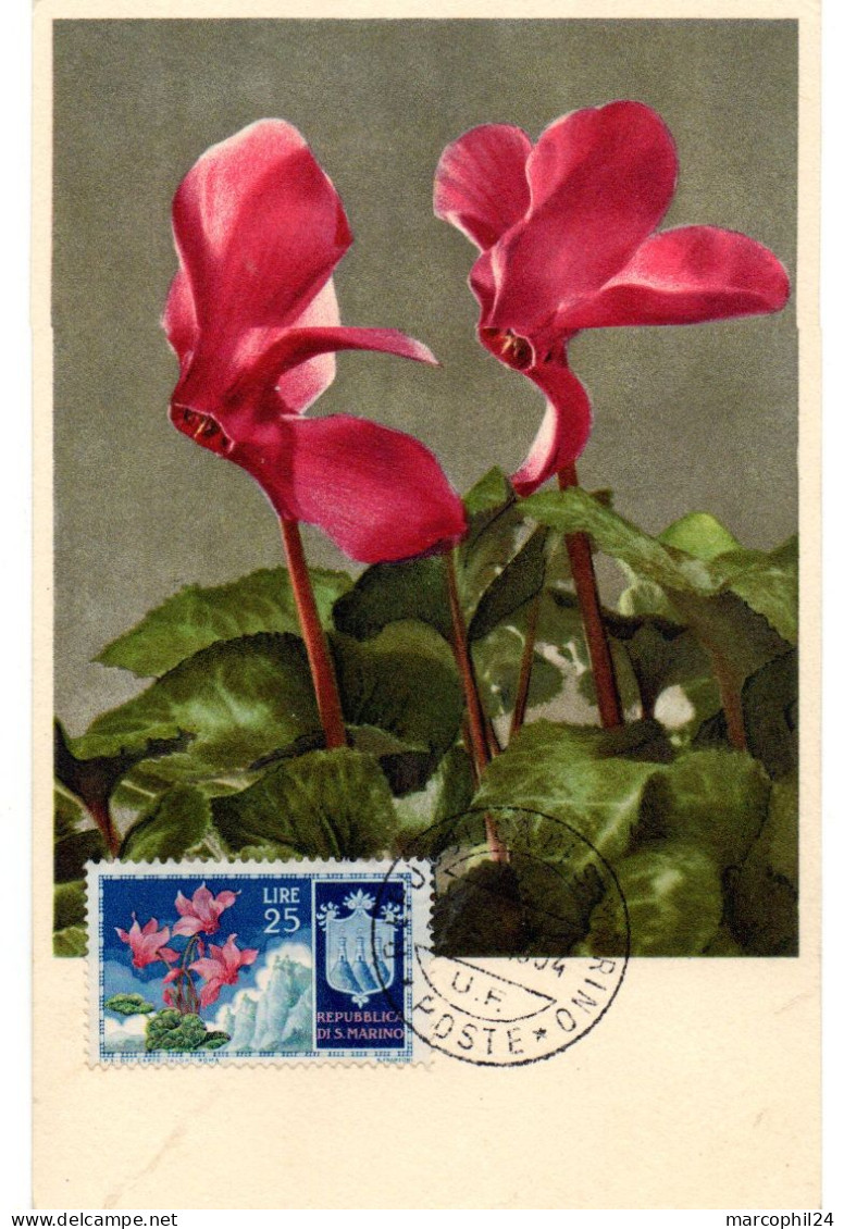 FLEUR + GERANIUMS (Géranium) = SAINT-MARIN 1953 = CARTE MAXIMUM + N° Yvert  381 - Andere & Zonder Classificatie