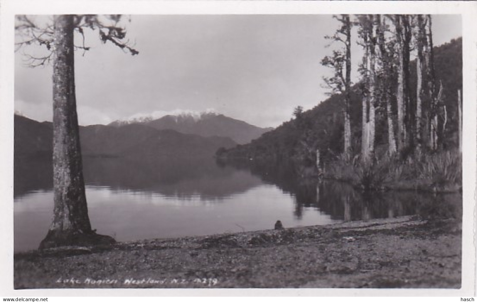4800143Lake Kanier. (photo Card) - Nouvelle-Zélande
