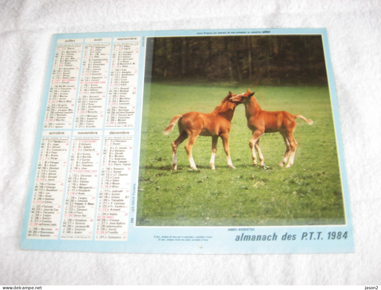 Almanach Des Ptt , Calendrier 1984 , Chats. Chevaux ( Vide Sans Page) - Grand Format : 1981-90