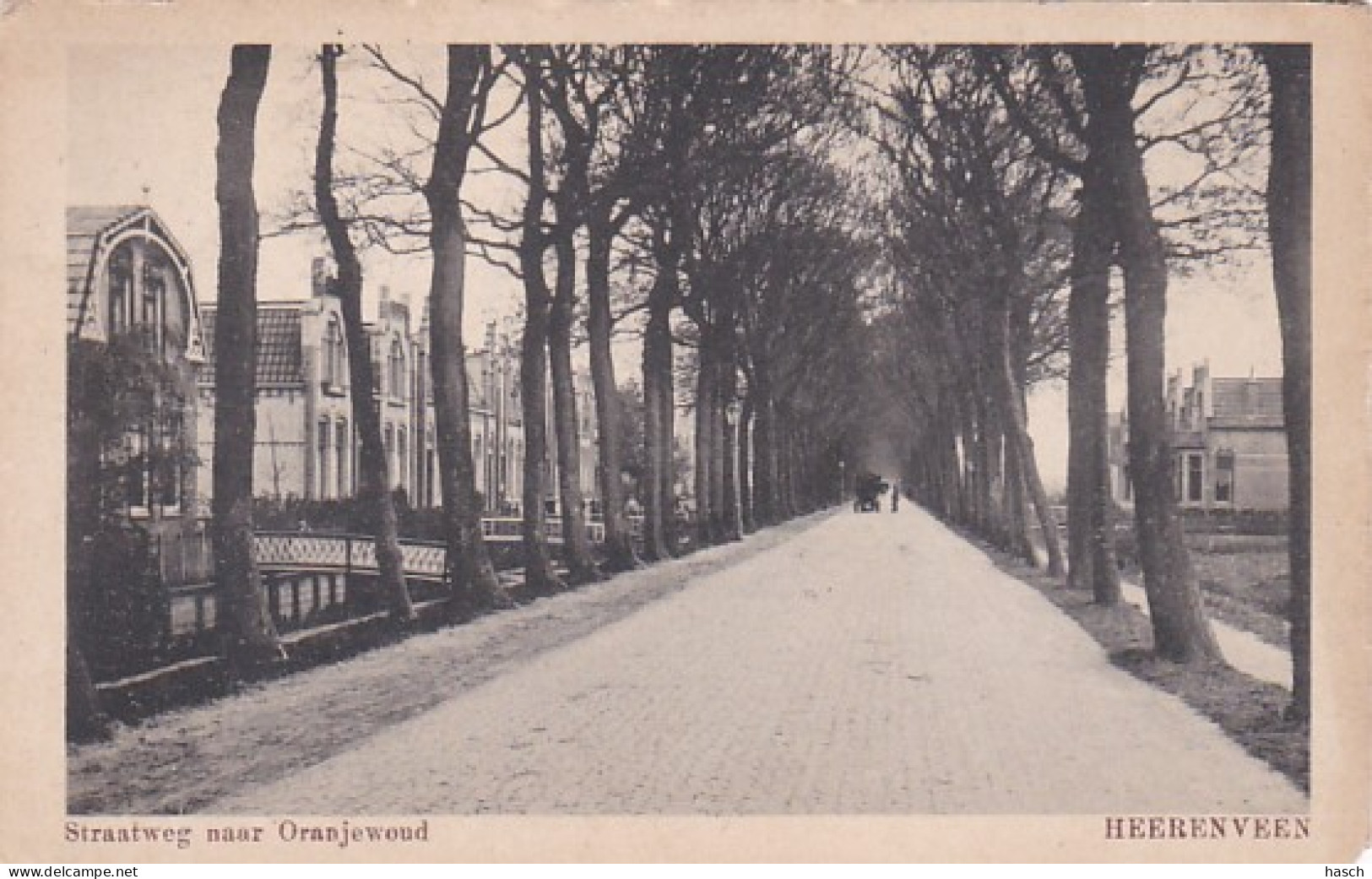 481254Heerenveen, Straatweg Naar Oranjewoud. (zie Hoeken) - Heerenveen