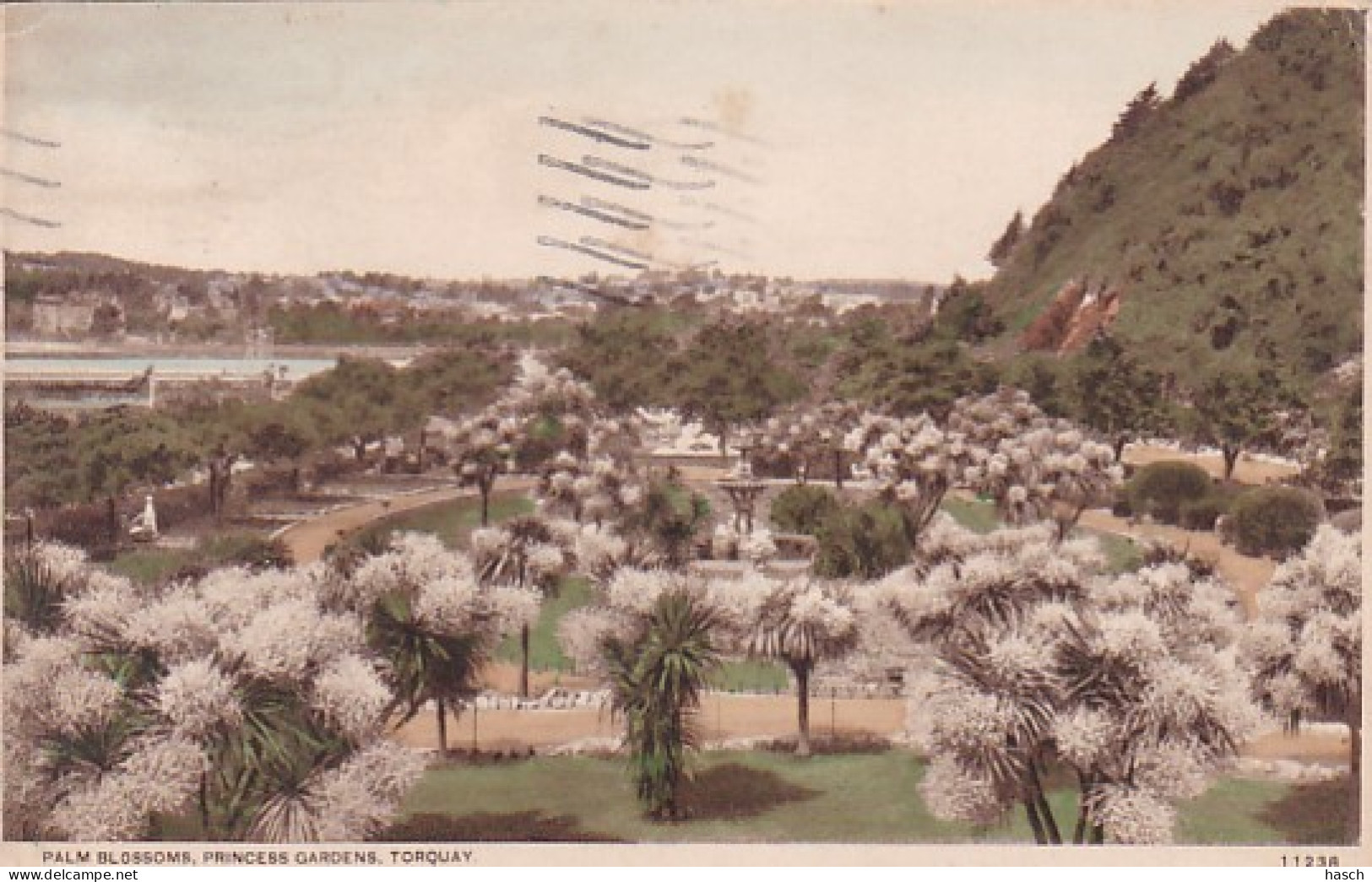 4812315Torquay, Palm Blossoms Princess Gardens. – 1934. (see Corners) - Torquay