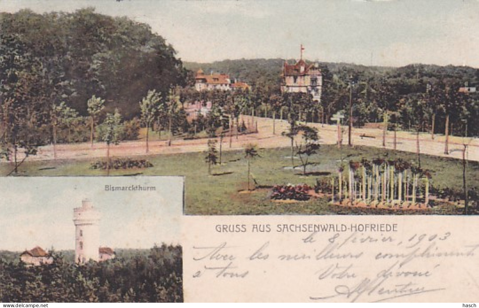 4812419Gruss Aus Sachsenwald Hofriede. – 1903.  - Lauenburg