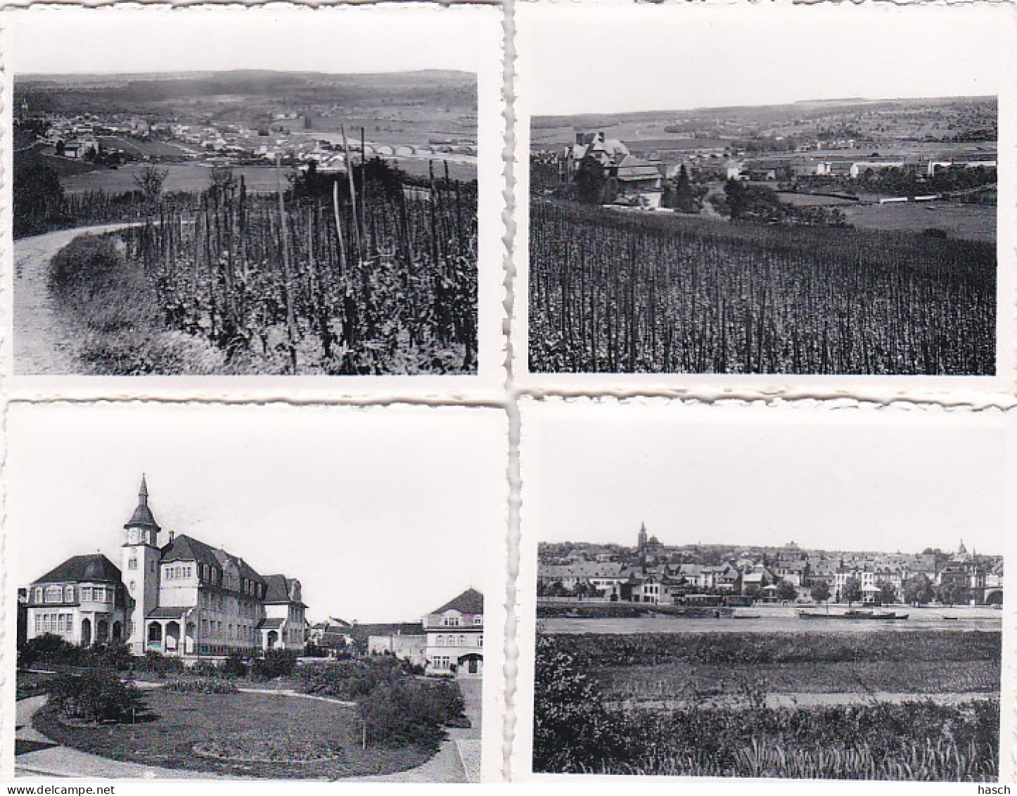 4812685snapshots, Remich. 10 Photos 7 X 9. - Remich