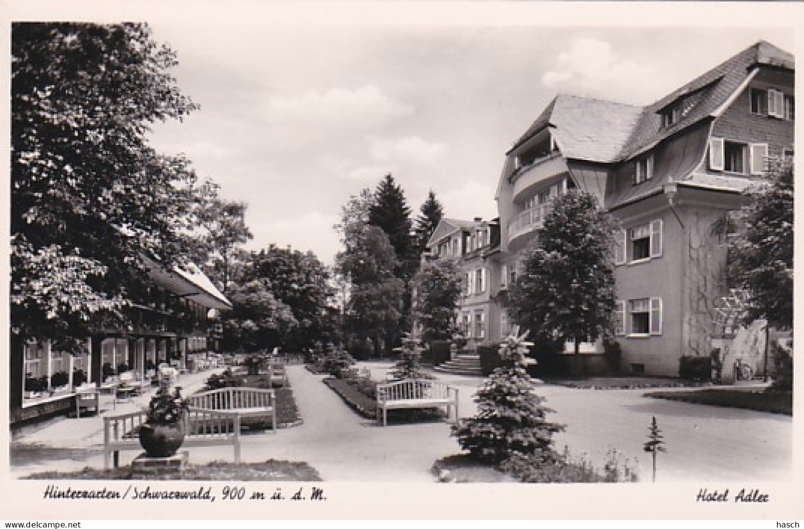 4812731Hinterzarten, Hotel Adler. (Schöne Fotokarte) - Hinterzarten