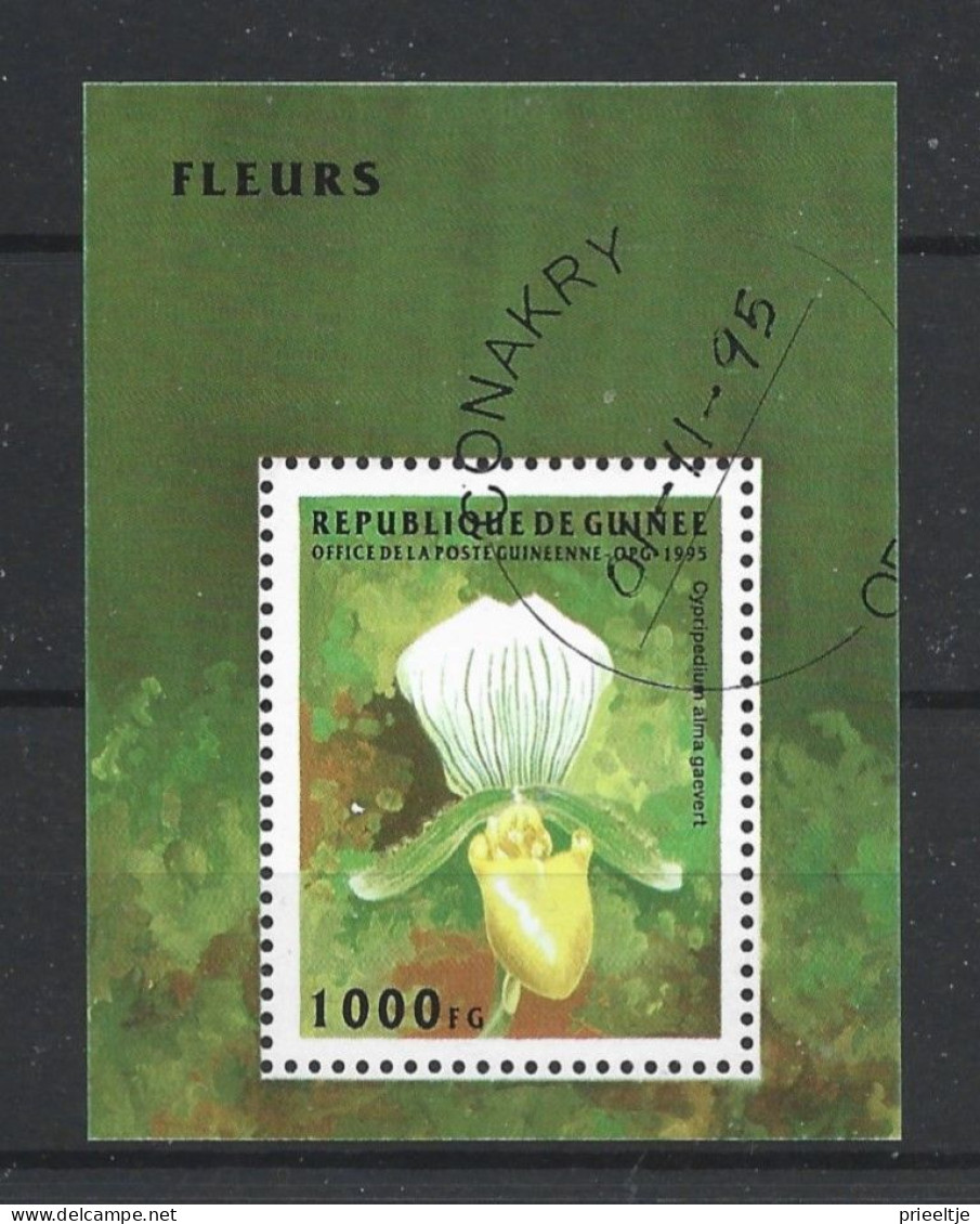 Guinée Rep. 1995 Flower S/S Y.T. BF 112 (0) - Guinea (1958-...)